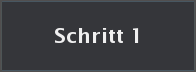 Vorstudie